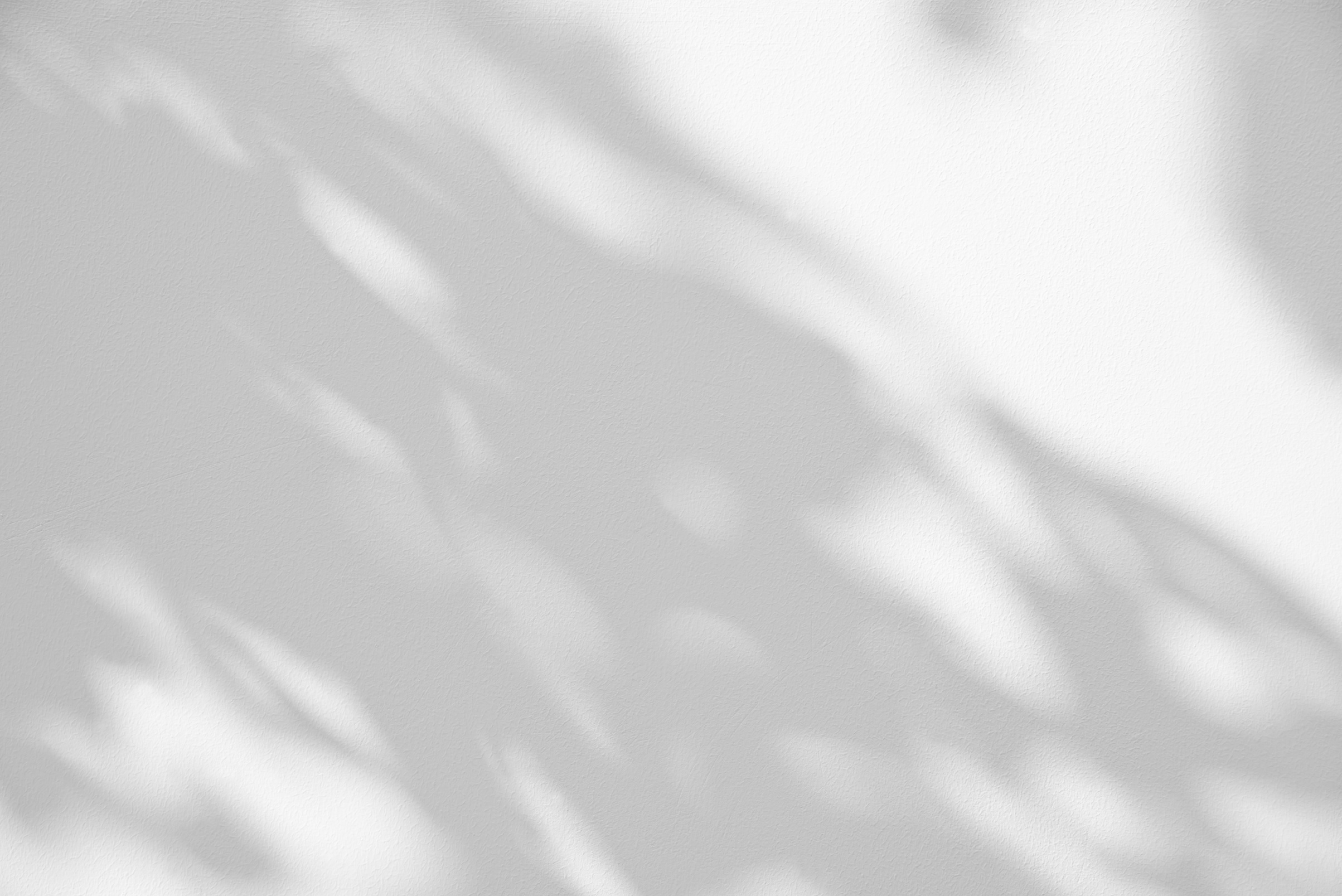 Leaves Shadow on White Background